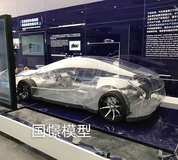 浠水县透明车模型